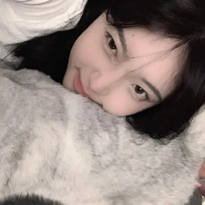 风月君子