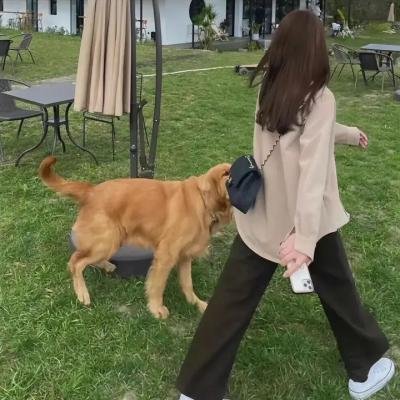 边界