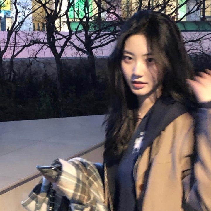 倒挂的爱丽丝